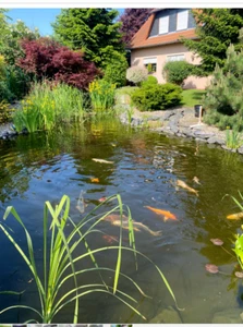 EPDM Kautschuk   Teichfolie 10,69 m² - Bild 1 von 1