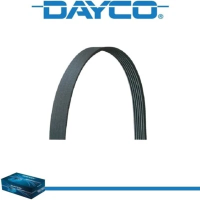 Dayco V-Ribbed Belt for MAZDA TRIBUTE 2001-2004 V6-3.0L - Image 1 of 4