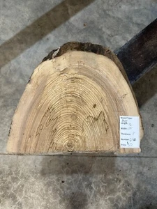 White Ash slab #2510, live edge slab, unfinished, free shipping - Picture 1 of 4