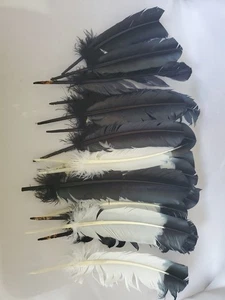 10 Pieces - Black & White Feathers Dipped Eagle Turkey Tom Rounds Wing Crafts - Picture 1 of 11