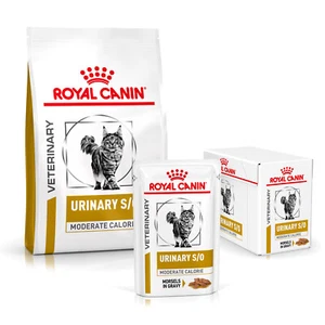 Royal Canin Urinary S/O Moderate Calorie Sparpaket: 3,5 kg Trockenfutter + 12x85 - Bild 1 von 1