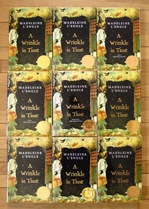 Lot 9 A WRINKLE IN TIME Madeleine L'Engle guided reading class set PB VGC - Imagen 1 de 2
