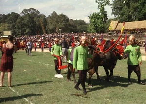 CAMBODGE 1965 - Fête Sillon Sacré Sihanouk et Princesse 6 Négatifs 24x36 - 5095 - Picture 1 of 6