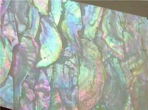 Rainbow Mother of Pearl Shell INLAY OVERLAY Thin Veneer Luthier Scrapbooking - Picture 1 of 2