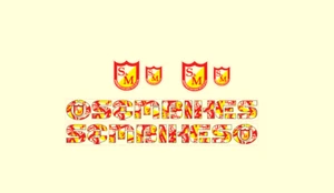 S&M Bikes Custom Shield Print BMX Decal Set - Bild 1 von 1