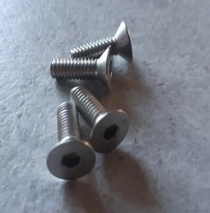 Stainless M4 Brake Clutch Master Cylinder Screws for Yamaha Honda Suzuki BLK - Picture 1 of 6