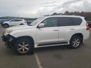 Rear Axle Coil Spring Fits 10-20 LEXUS GX460 556982 - Foto 1 di 9