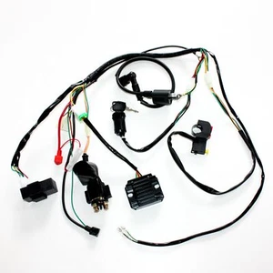 Basic Wire Wiring Harness Loom 150cc 250cc Engine PIT Quad Dirt Bike ATV Buggy - Foto 1 di 5