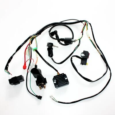 Basic Wire Wiring Harness Loom 150cc 250cc Engine PIT Quad Dirt Bike ATV Buggy - Image 1 of 4