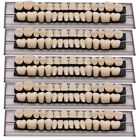 140PCS Denture 23# Shade A2 Acrylic Resin Full Set Teeth Upper Lower Dental NEW