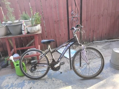 Schwinn Sidewinder 24 lavanda Foto 1 de 3