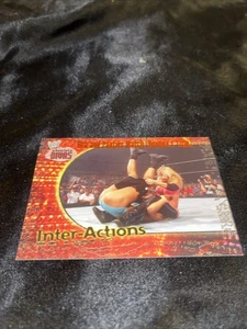RARE 2002 Fleer WWE Absolute Divas Interactions Stacy Kiebler Bra & Panties Card - Picture 1 of 4