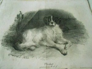 Litho 1832 - Le Chien Milord - Picture 1 of 1