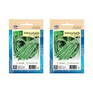 Yard Long Bean Seeds The Best Thai Home Garden Asian Fresh Vegetable 60 Seeds - Picture 1 of 4