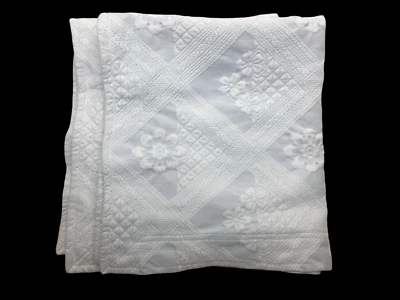 Matelasse Shams ESTÁNDAR Tejido ALGODÓN Jacquard Azul y Blanco Portugal PAR Foto 1 de 4