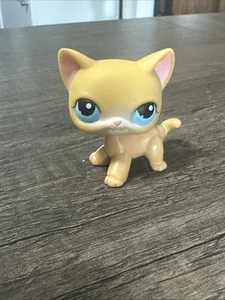 Littlest Pet Shop 71 Orange Standing Shorthair Cat Blue Eyes - Picture 1 of 4