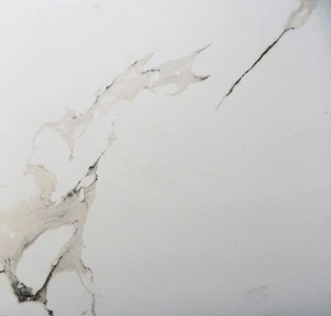 Bodenfliese Feinsteinzeug Lumitec Carrara 60 x 60 cm weiß Bodenfliese - Bild 1 von 2