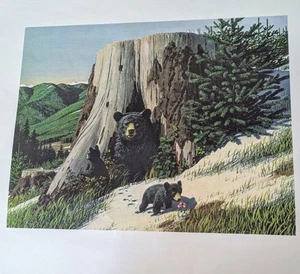 Stan Galli Original Lithographie 22,5” x 20” Bär mit Jungen Western Illustration - Bild 1 von 3
