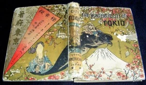 TOKYO JAPAN 1883 ART BOOK THE WONDERFUL CITY OF TOKIO JEWETT FAMILY EDWARD GREEY - Picture 1 of 5