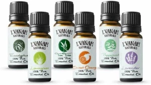 100% Pure Essential Oil Aromatherapy Therapeutic Grade Natural & Organic (6 Pk) - Picture 1 of 6