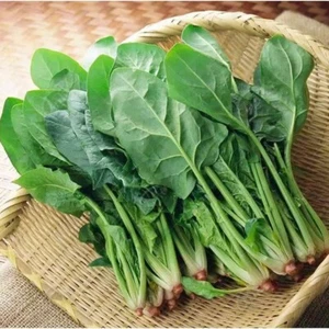 Large leaf spinach seeds autumn winter vegetable seeds seasonal spinach seeds - Picture 1 of 13