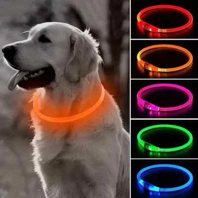 Light Up Dog Collar Pet Flashing USB- Rechargeable Safety LED Size Adjustable Uk