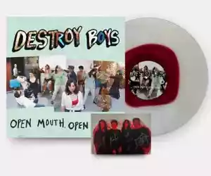VV Exclusive Open Mouth Open Heart Destroy Boys SIGNED LIMITED LE300 ✅ CONFIRMED - Picture 1 of 1