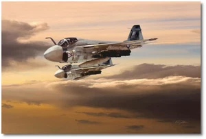 Golden Intruders von Peter Chilelli - Grumman A-6 Intruder - Luftfahrt Kunstdruck - Bild 1 von 1