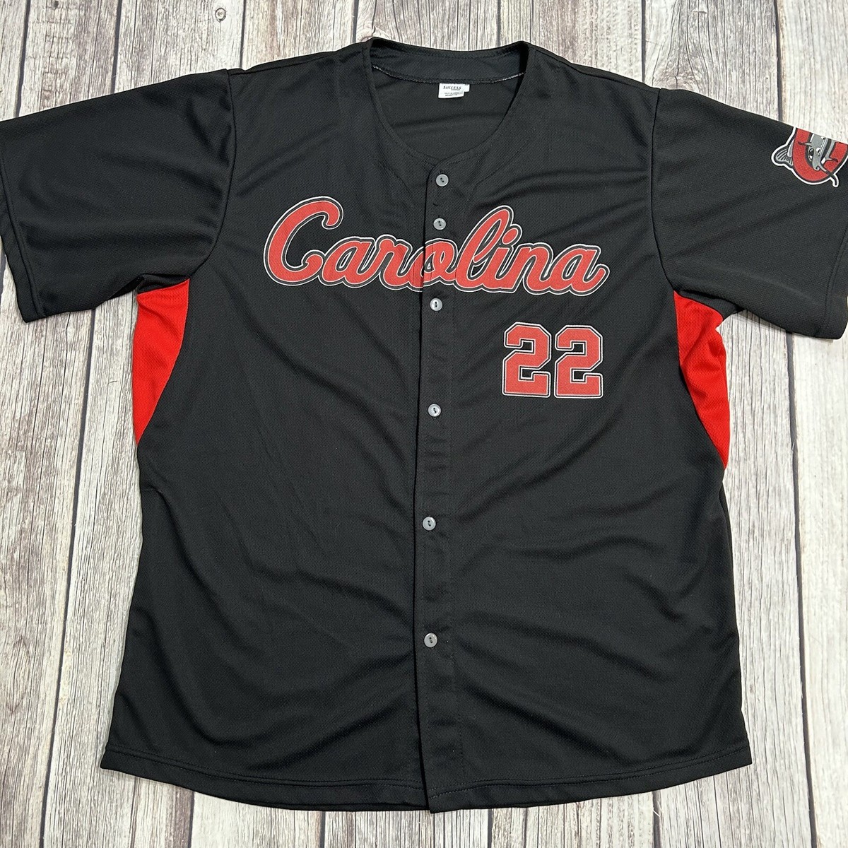 マイナーリーグ Carolina Mudcatsスタジャン