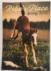 Reba's Place Frühjahr 2025 Postkarte (Reba McEntire) Neu - Bild 1 von 2
