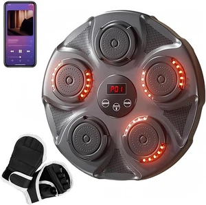 Musik Boxmaschine elektronisches Wandziel Boxer Sandsack Kampfreflextraining - Bild 1 von 16