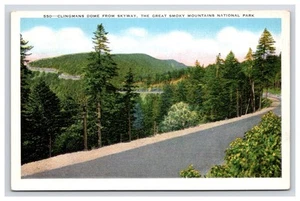 Postkarte: Parks: Clingmans Dome Great Smoky Mountains Nationalpark - unbesendet - Bild 1 von 2