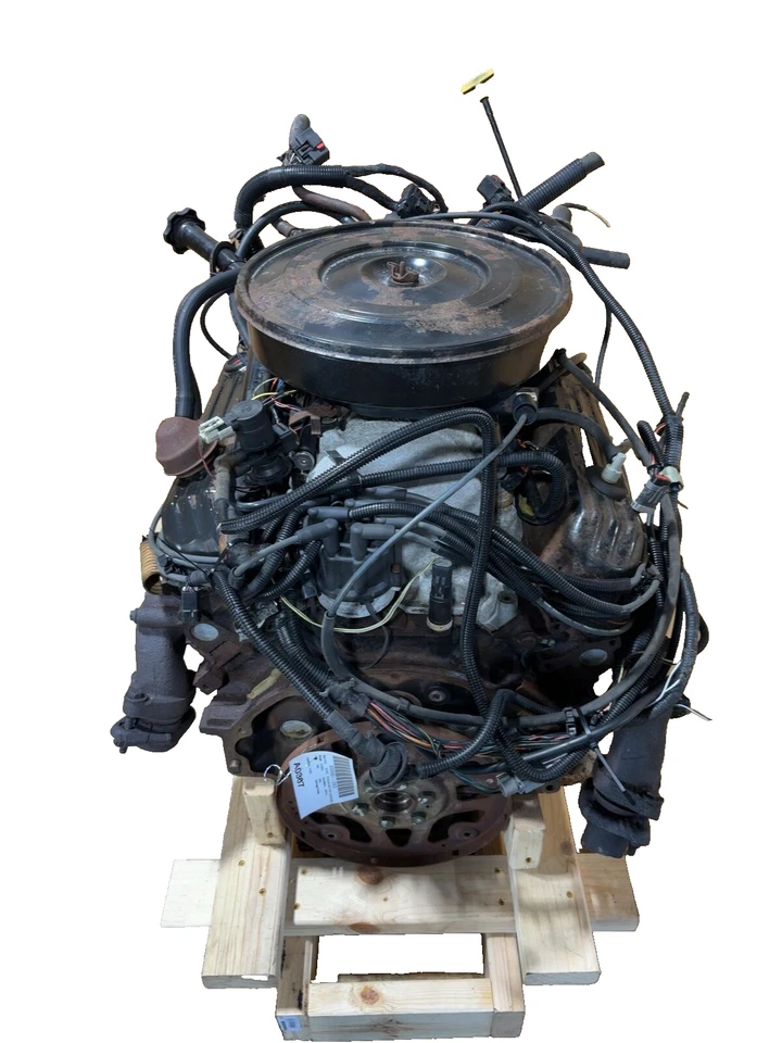 95 96 97 98 99 00 01 02 03 道奇范 2500 系列发动机/电机组件 — 第 1/4 张图片