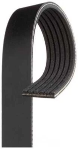 Serpentine Belt-Premium OE Micro-V Belt Gates fits 00-04 Ford Focus 2.0L-L4 - Picture 1 of 2