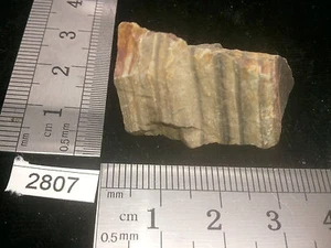 Bois fossile pierre brute mineraux collection pétrifié reiki esoterisme brut - Picture 1 of 3