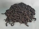 LOT OF 100 POLYCOM COIL TELEPHONE CORDS: black, 5 ft |010-4789526