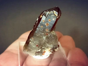 Dark Terminated Smoky Quartz w/Spessartine Garnets on Microcline Mtx.- China - Picture 1 of 12