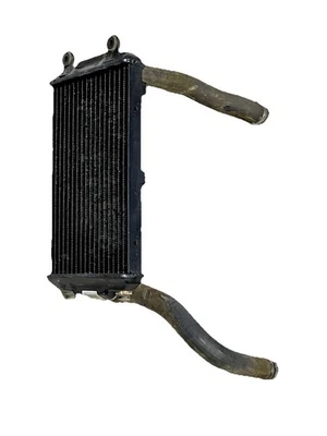 Harley-Davidson Street XG750 2017 radiador y manguera inferior superior OEM HD Foto 1 de 4