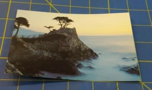 Lone Cypress Tree Pebble Beach CA Postcard Cliff Sea - Picture 1 of 8