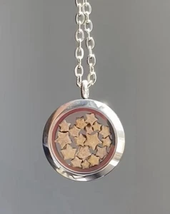 Silver-Tone Crinoid Star Fossil Locket Necklace - Picture 1 of 3