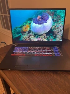 RTX3080 Laptop: 2021 ORIGIN PC EVO-17S, 17.3" 4K Adobe 100% RGB, i7 10870H 8Core - Picture 1 of 9