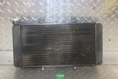 BMW F650 1999 radiador motor refrigeración Foto 1 de 4