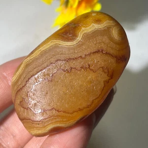 72g Bonsai Suiseki-Natural Gobi Agate Eyes Stone-Rare Stunning Viewing-CB8 - Picture 1 of 20