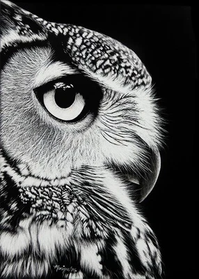 SALE Original Wildlife Scratchboard Art Painting OWL Bird Portrait Animal SAFYRE - Image 1 of 3