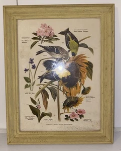 Arthur Singer 6 Of A Series Goldfinches  Sunflower Vtg Vintage Print Art Framed - Picture 1 of 5