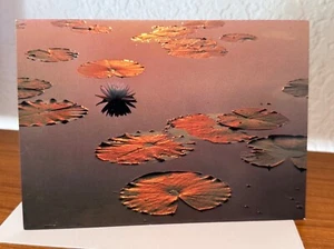 Vintage 1987 Avanti Lily Pads "With Deepest Sympathy" Condolence Greeting Card - Picture 1 of 3