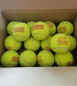 Tennisbälle gebraucht 17 Stück von Dunlop - Bild 1 von 2