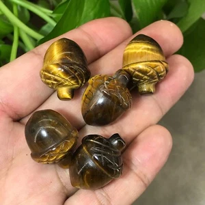 5 piezas Bellota Natural Ojo de Tigre Cuarzo Cristal Reiki Gemas Curativas - Imagen 1 de 12