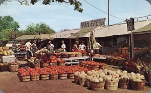Postal People at Roadside Fruit Market Farm Fresh Michigan 1958 - Imagen 1 de 2