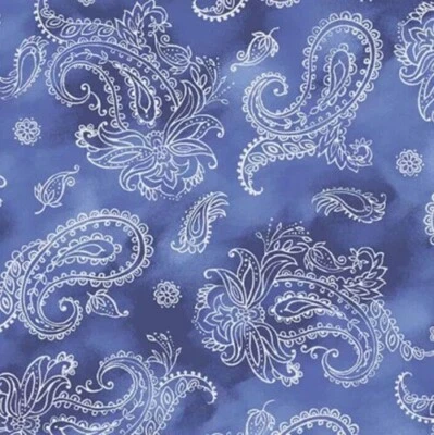 Tecido Garden Grandeur branco paisley azul floral Ivy Lane por FQ - 1/4 JARDA - Imagem 1 de 4